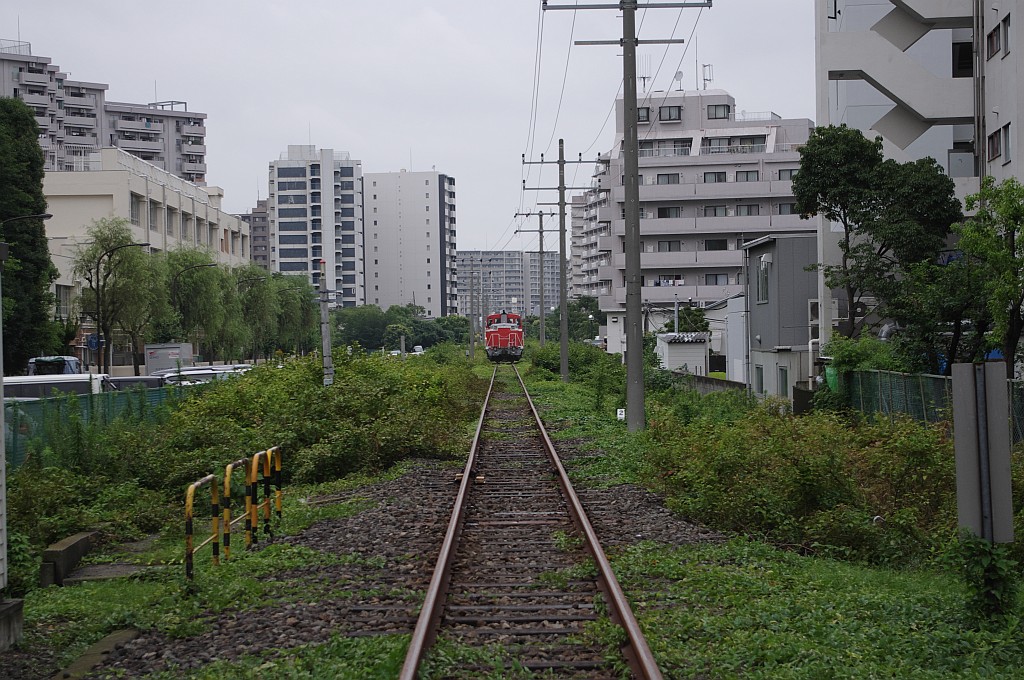 今日の越中島（7/21）_f0203926_2248813.jpg