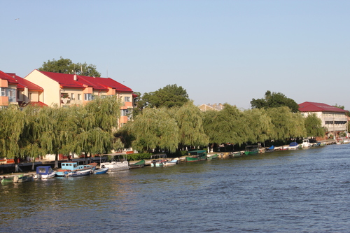 a0163227_13313143.jpg