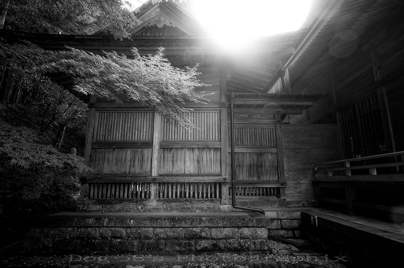 d0004832_20382954.jpg