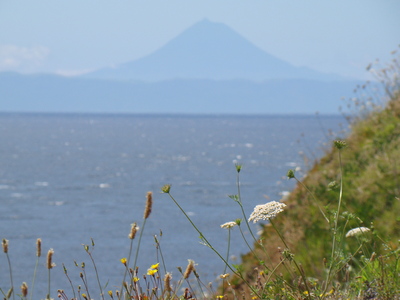 a0103335_94383.jpg