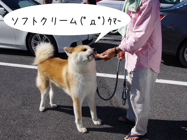 秋田犬オフ会・2012夏の陣　～帰りつつ、観光～_f0008935_13513055.jpg