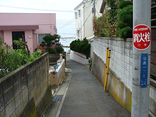 e0142838_1202931.jpg