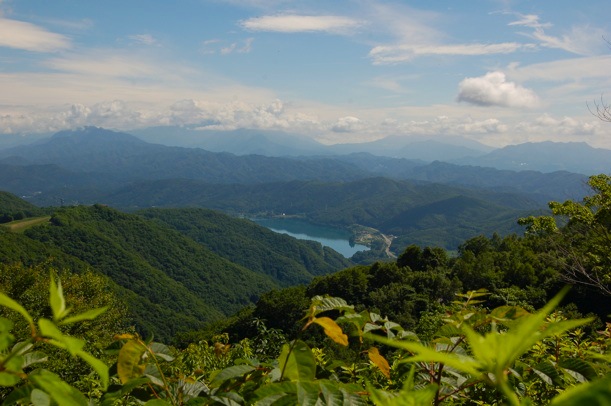 雨すぎて小熊山林道_c0002943_21213280.jpg