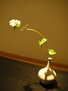 花とともに_b0132444_1629352.jpg