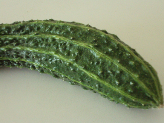 a0204348_922191.jpg