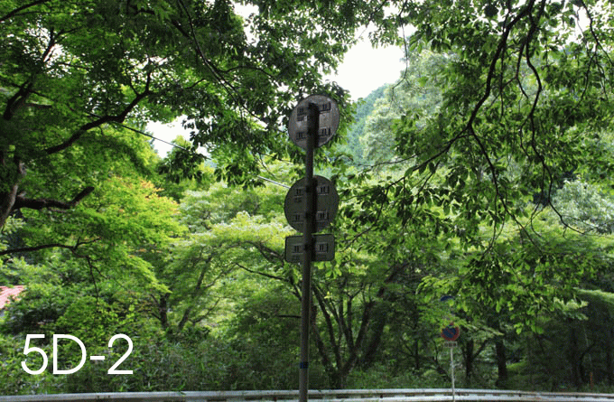 d0110849_2129960.gif