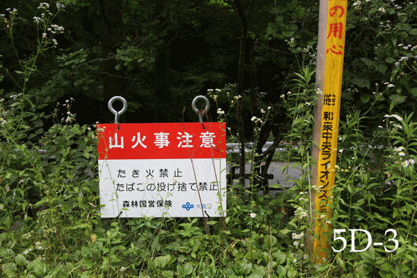 d0110849_22491447.gif