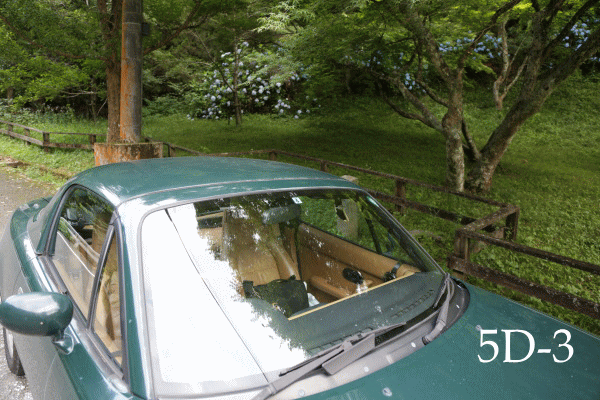 d0110849_2374094.gif