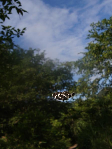 c0045352_191644100.jpg