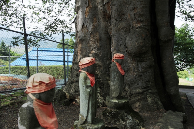  巨樹・名木探訪と森林浴　　H24　　7月19日_f0226960_8363177.jpg