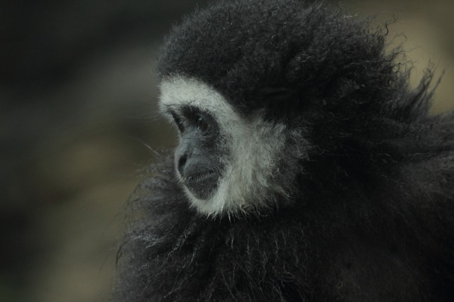 a0188771_02550.jpg