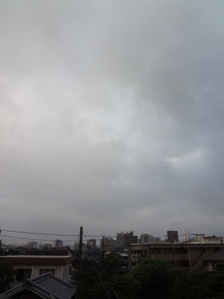 古今和歌集778_c0169176_639405.jpg