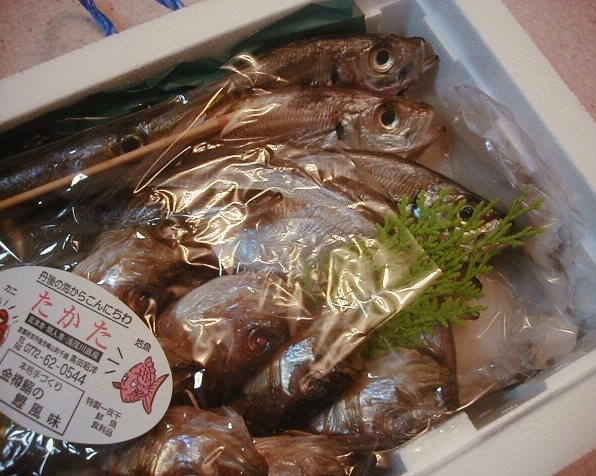 e0126576_1719856.jpg
