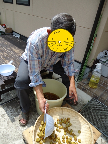 梅干し!!_a0199979_1232042.jpg