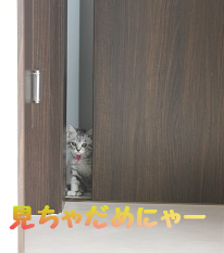 ゴハンのおしらせ。_c0245679_1851815.jpg