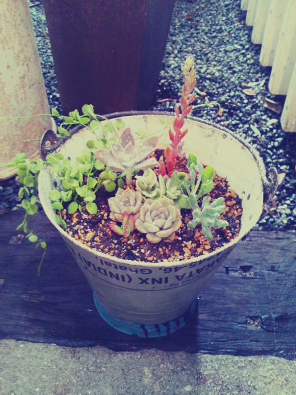 寄せ植えワークショップとヒゲネコ展とチアフルセカンドさん_c0246783_2148191.jpg