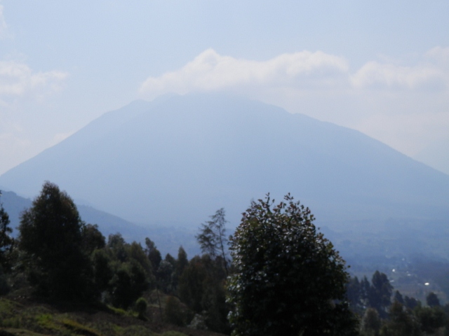 a0055891_22105030.jpg