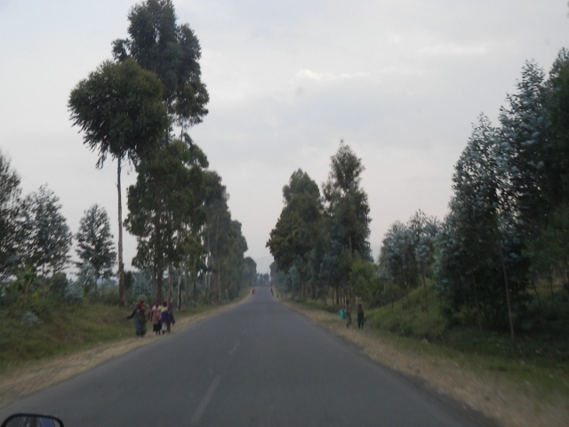 a0055891_22191627.jpg
