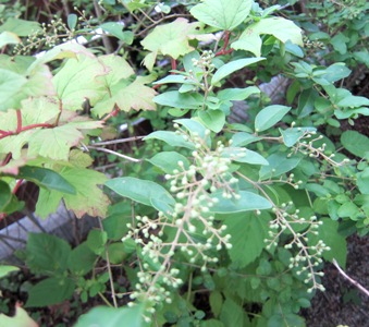 学生気分_d0249193_17135891.jpg