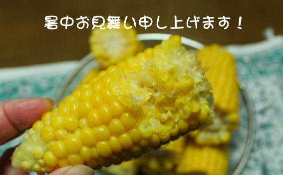 d0071596_20232118.jpg