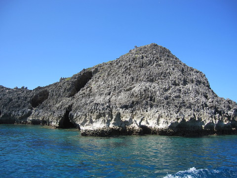 f0153998_072466.jpg