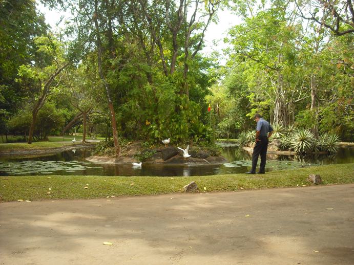 b0247609_74412.jpg