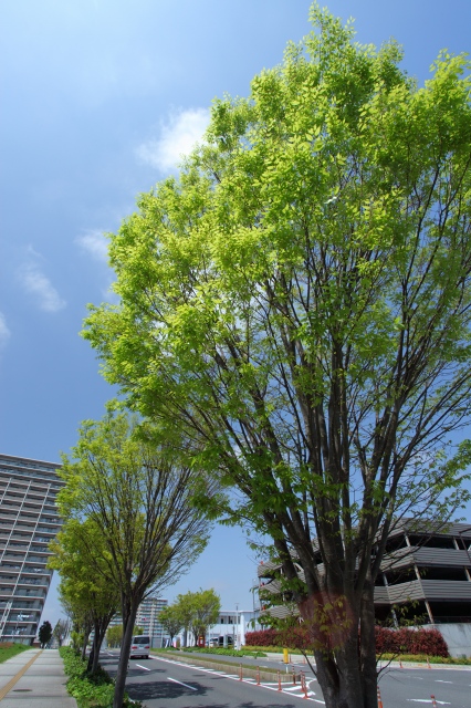 c0211309_15544877.jpg