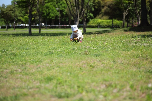 c0211309_17382714.jpg