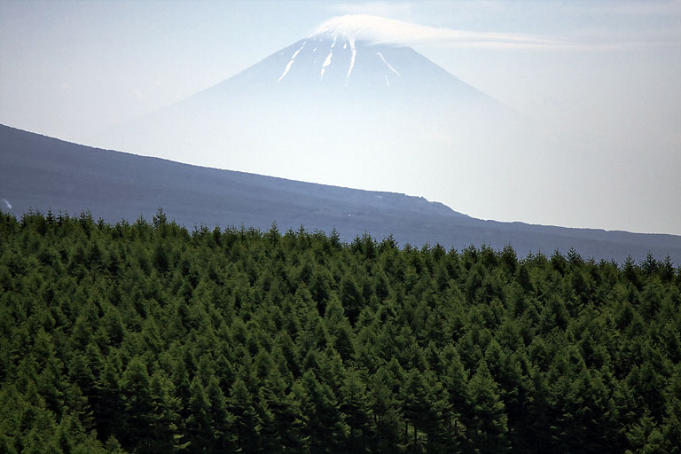b0010915_210229.jpg