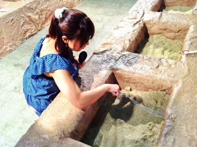 えみつんザウルスよりお知らせ☆_e0203415_2262723.jpg