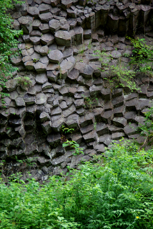 a0066720_16474892.jpg