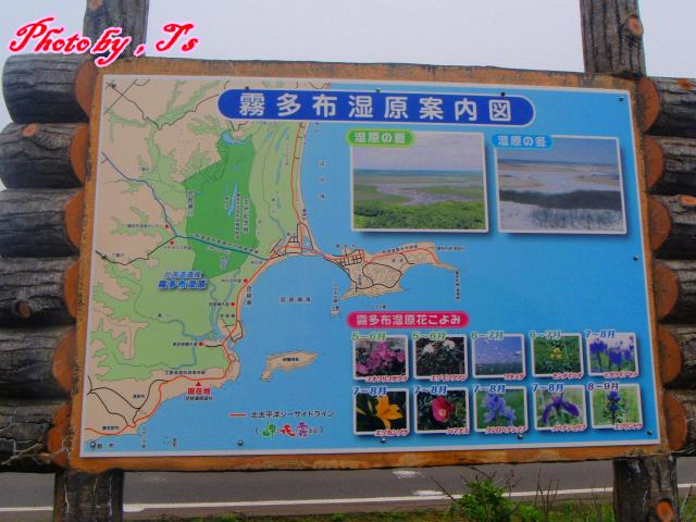 f0147821_17555137.jpg