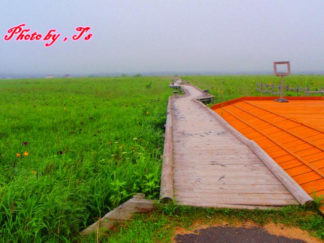 f0147821_17555978.jpg