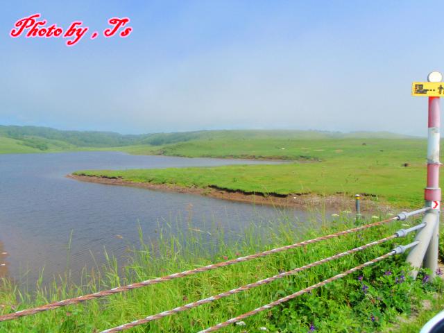 f0147821_17572756.jpg