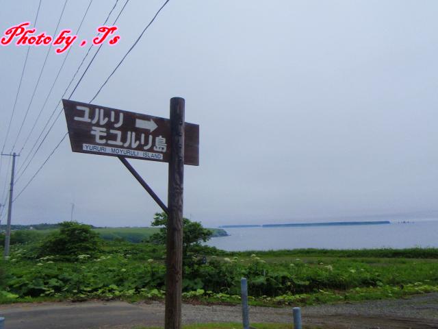 f0147821_17575735.jpg
