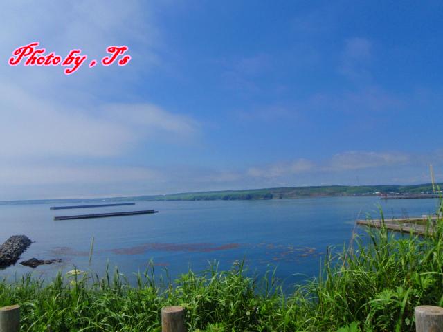 f0147821_17582795.jpg