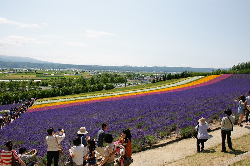 彩りの畑～2012_f0046128_20185699.jpg