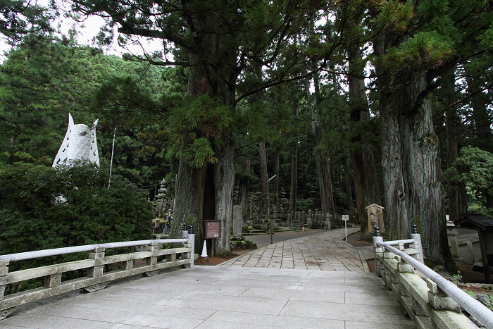 b0169330_22353448.jpg