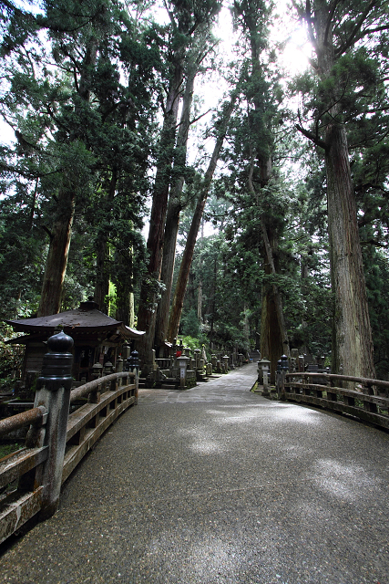 b0169330_22455249.jpg