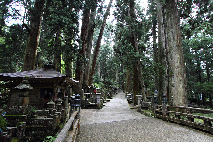 b0169330_22460100.jpg