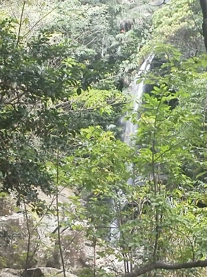 b0086931_08257.jpg