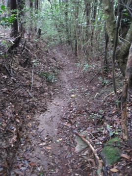 c0077338_2183661.jpg