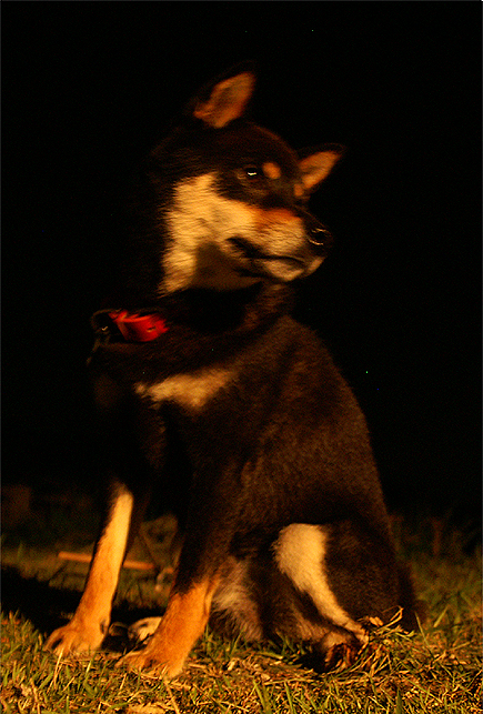 f0214649_1357652.jpg