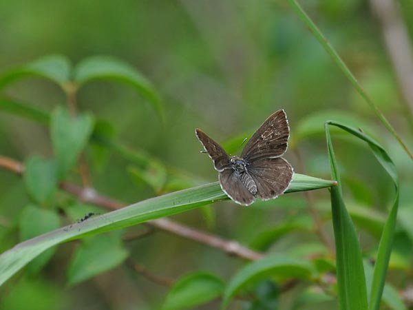 c0045352_21321643.jpg