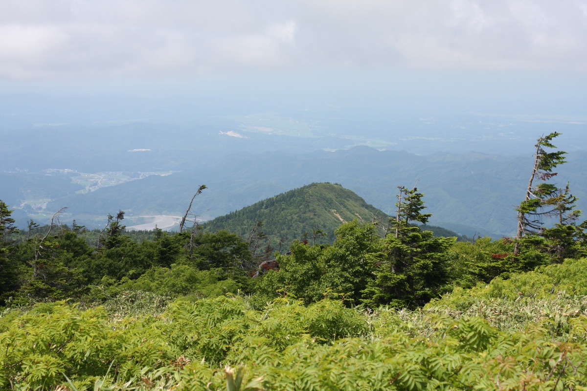 f0013553_96294.jpg