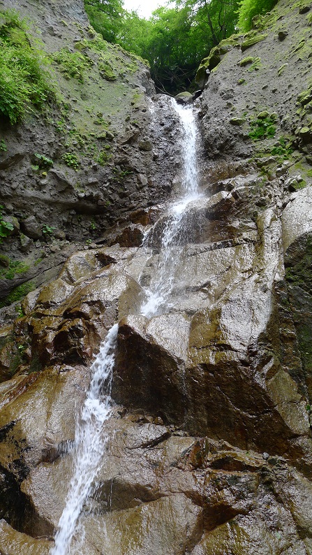 d0007657_17143171.jpg