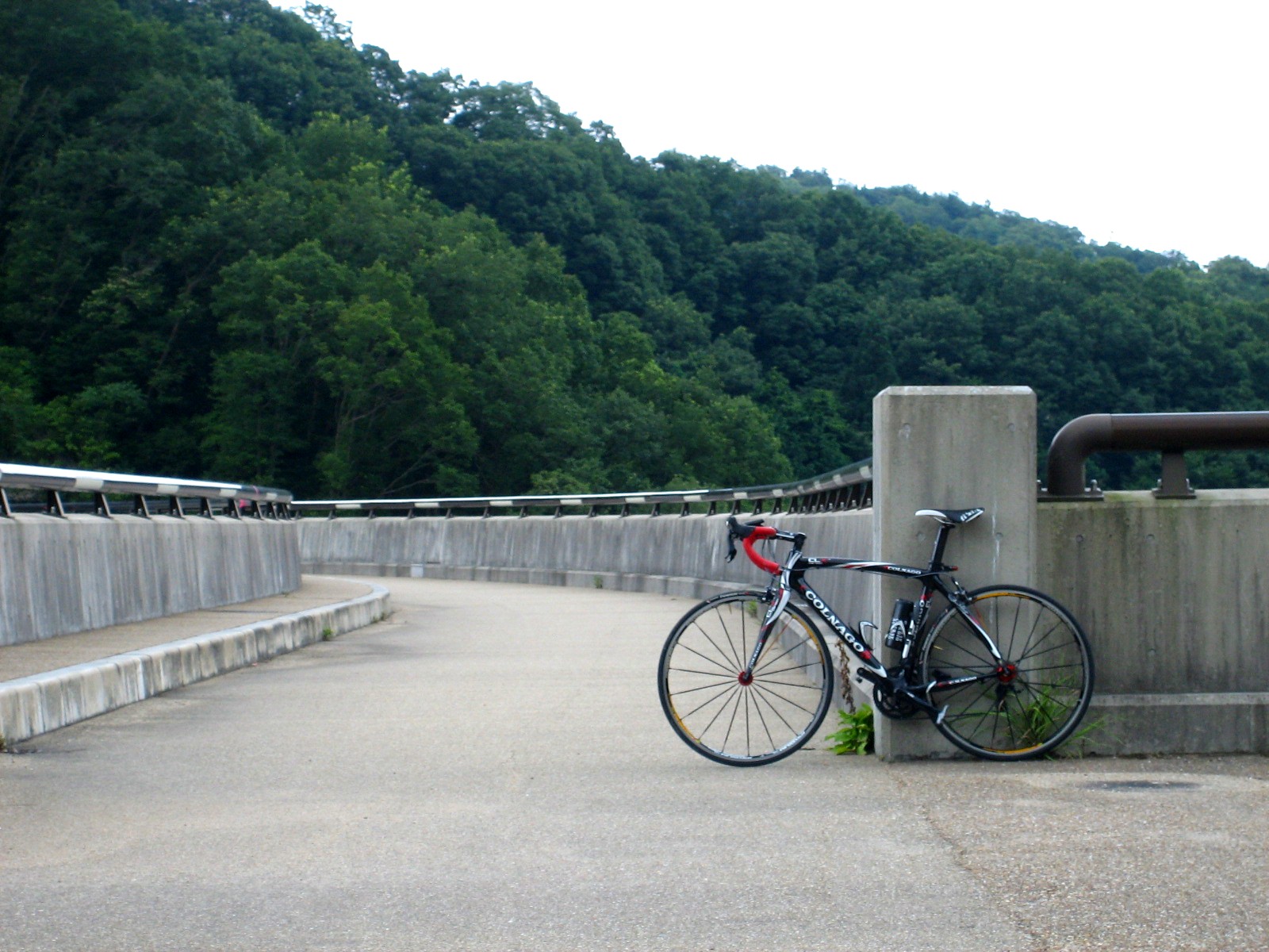 d0161959_13552113.jpg