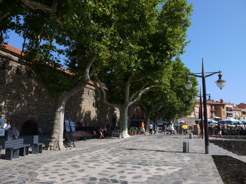 b0134961_20592973.jpg