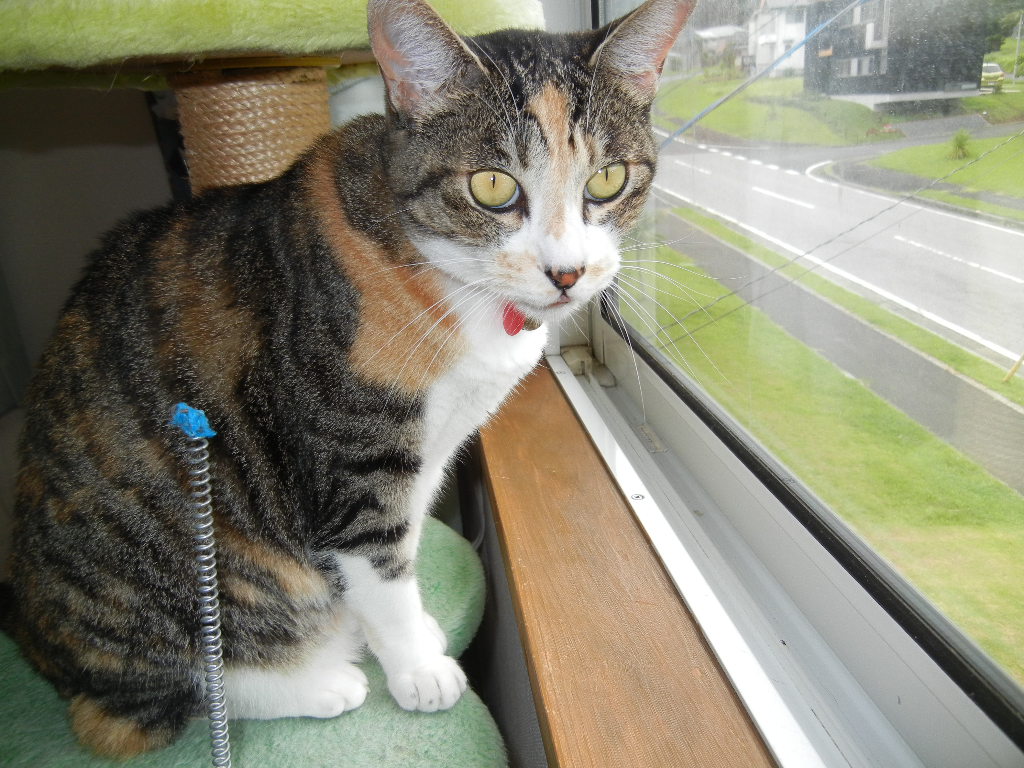 2012年7月22日(日)涼しい日には盛りだくさん!_f0060461_13453211.jpg