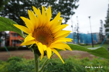 a0068763_13203785.jpg